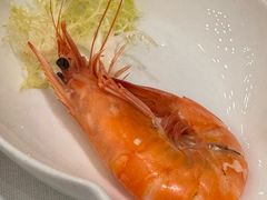 -开海·红岛海鲜虾水饺(石老人店)