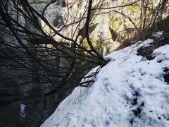 -秦岭终南山世界地质公园翠华山景区