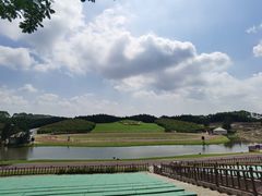 -迪茵湖田家舍生态农场