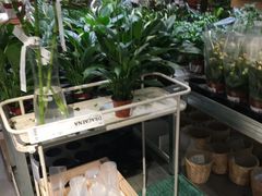 -宜家家居(哈尔滨商场店)