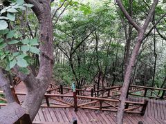 -大岭沟猕猴桃谷风景区