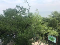 -巢湖姥山岛