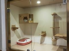 -Double Rui宠物酒店