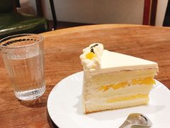 -猫里有甜