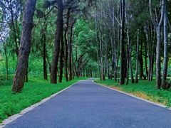 -国家植物园南园