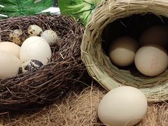 -荟星庭西餐厅(天府丽都喜来登饭店)