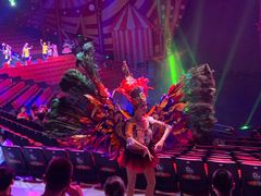 -珠海横琴长隆《卡卡虎奇遇记》