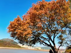 -平湖九龙山旅游度假区