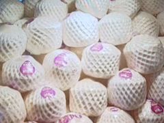 -雍容荟帝王蟹活龙虾展台自助(IFS黑金店)