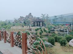 -郑州植物园