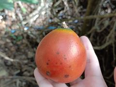 -象头山国家级自然保护区