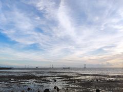 -宝安西湾红树林湿地公园