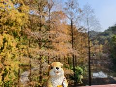 -云溪植物园