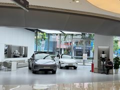 -TESLA 特斯拉(广州天环广场体验店)