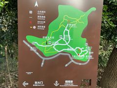 -上海佘山国家森林公园天马山园