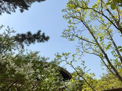 -潭柘寺景区