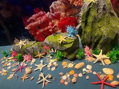 -上海中国航海博物馆