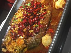 -龙门烤鱼(东方宝泰店)