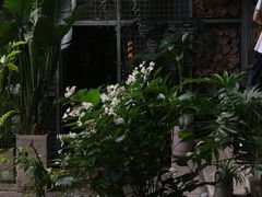 -谷咖啡·鲜花绿植花园餐厅