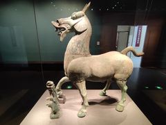 -广西壮族自治区博物馆