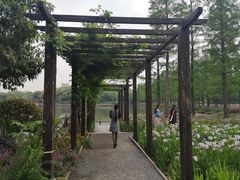 -圩墩遗址公园