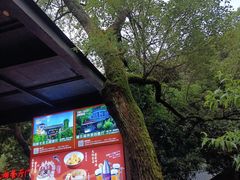 -天怡·鱼工厂(梅溪湖店)