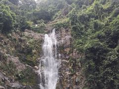 -鼎湖山风景区