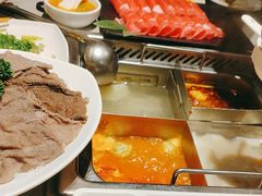-海底捞火锅(吾悦广场店)