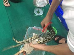 -QQ海鲜餐厅