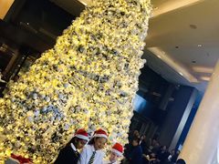 -杭州君悦酒店