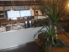 -Wagas沃歌斯(汇智店)