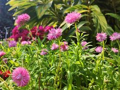 -人民公园(罗湖区)