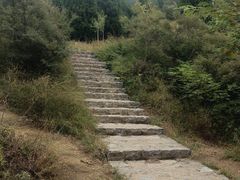 -佛慧山