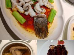 -侨美·唐荔园·40年地道粤菜