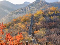 -大岭沟猕猴桃谷风景区