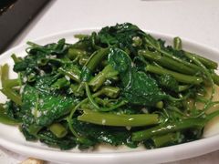 -拈菜(观音桥阳光世纪店)