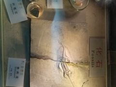 -龙虎山世界地质公园博物馆