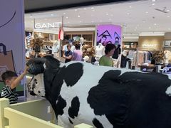 -红星前进面包牛奶公司(君太店)