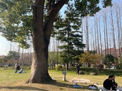 -上海财经大学(国定路校区)