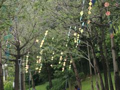 -云溪植物园