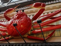 -蟹道乐(道顿堀本店)