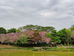 -怡海公园(桂城街道)