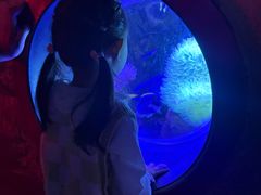 -太平洋海底世界