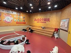 -和它·交个朋友·狗咖猫咖(爱琴海店)