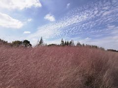 -嘉北郊野公园