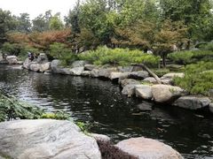 android_upload_pic-中国唐苑