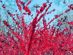 景点-睦南公园