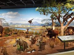 -陕西自然博物馆