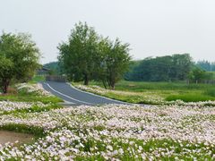 -良渚古城遗址公园