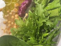-百草滩羊清水涮羊肉·清真·宁夏盐池滩羊(莲花桥店)